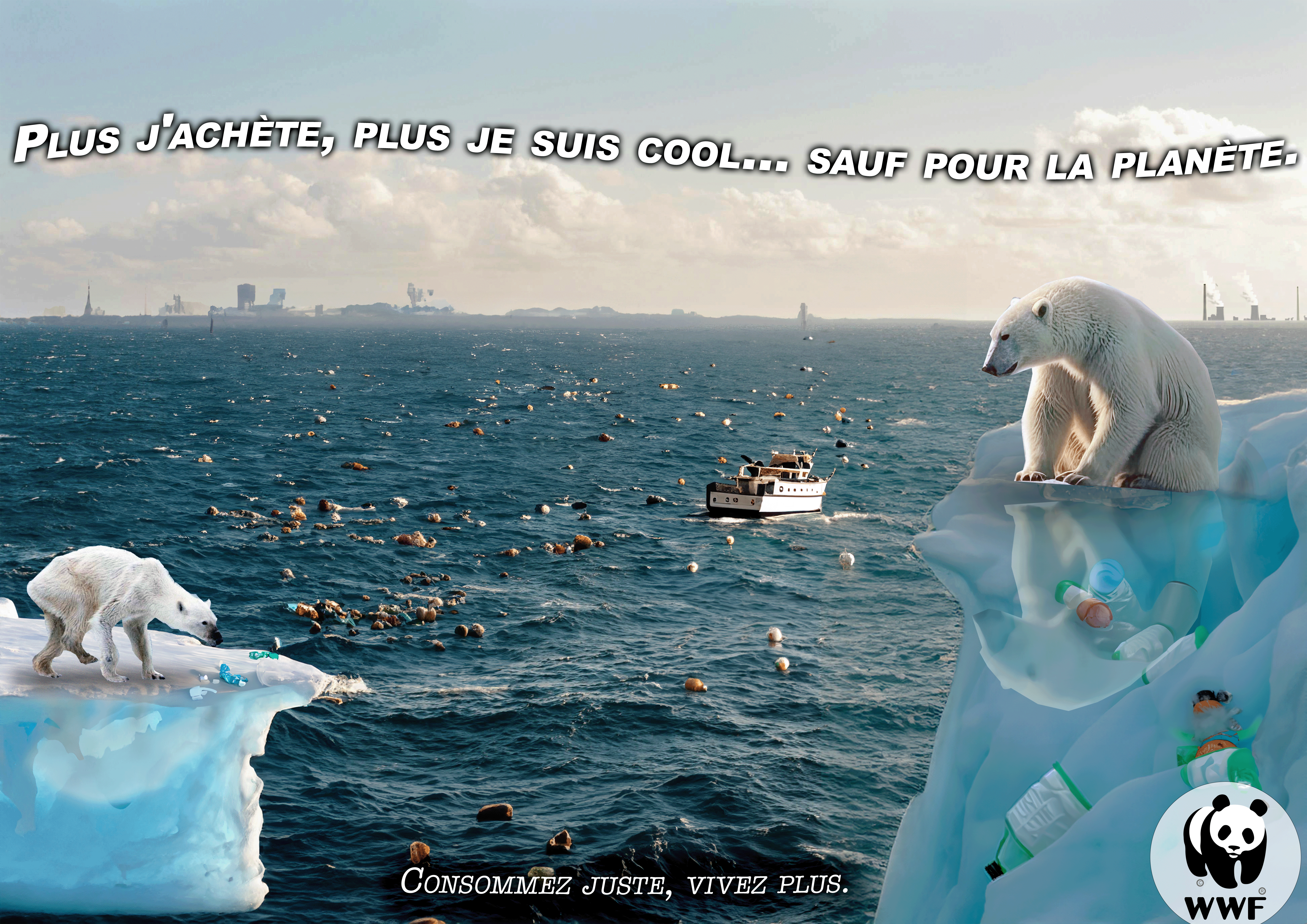 Affiche WWF